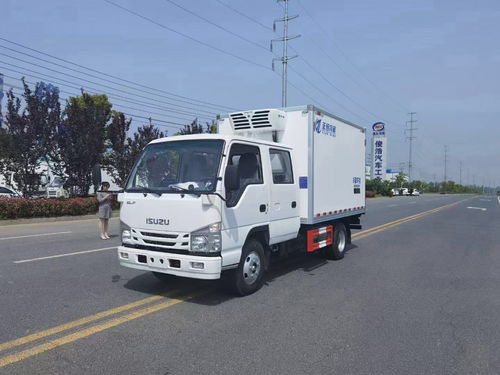 石家莊躍進柴油版3米3冷凍車 高效環保的冷鏈運輸選擇